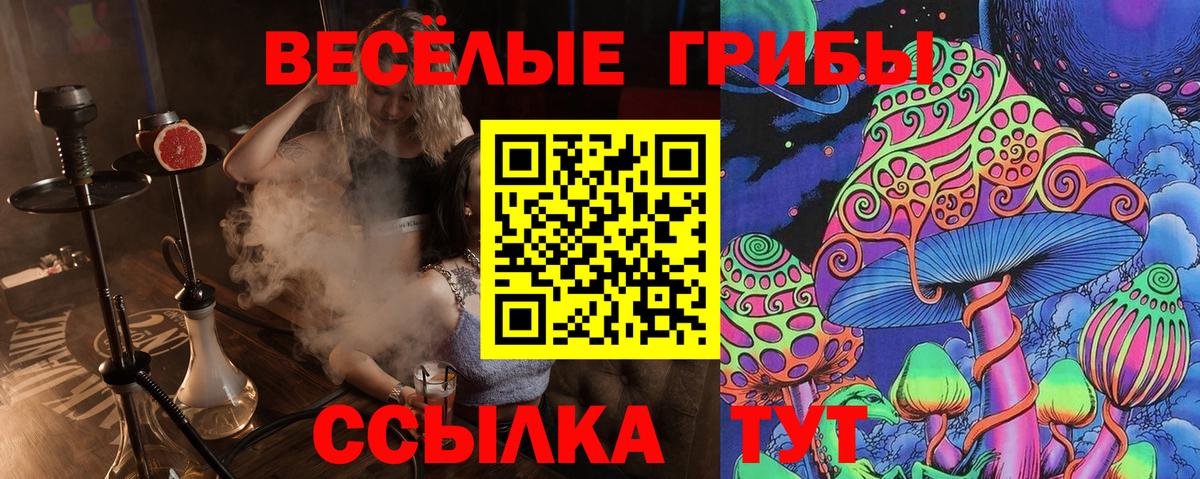 Галлюциногенные грибы мицелий  Будённовск 