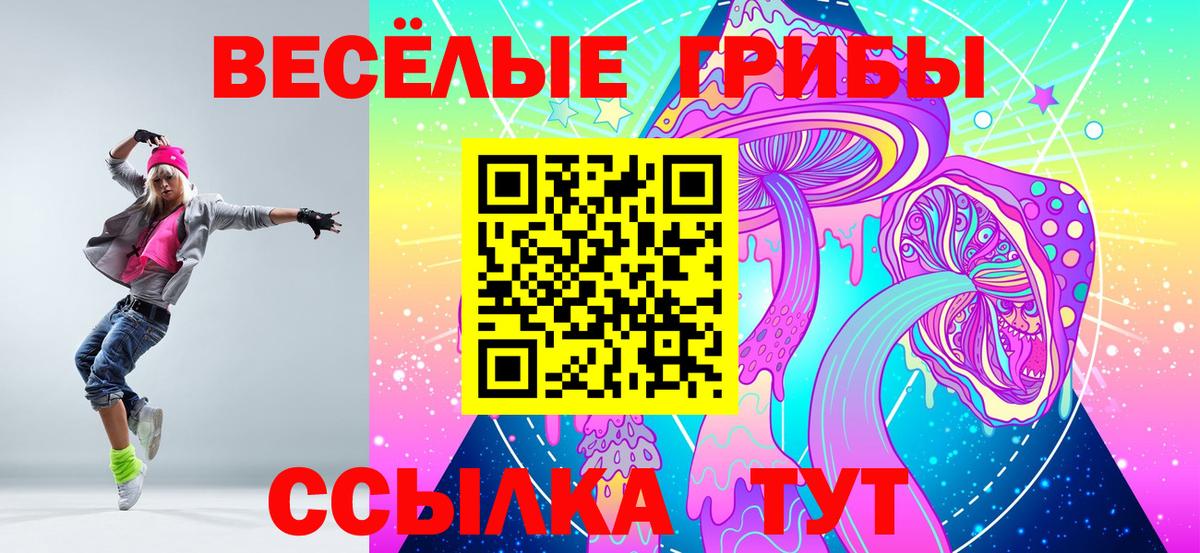 Галлюциногенные грибы GOLDEN TEACHER Будённовск