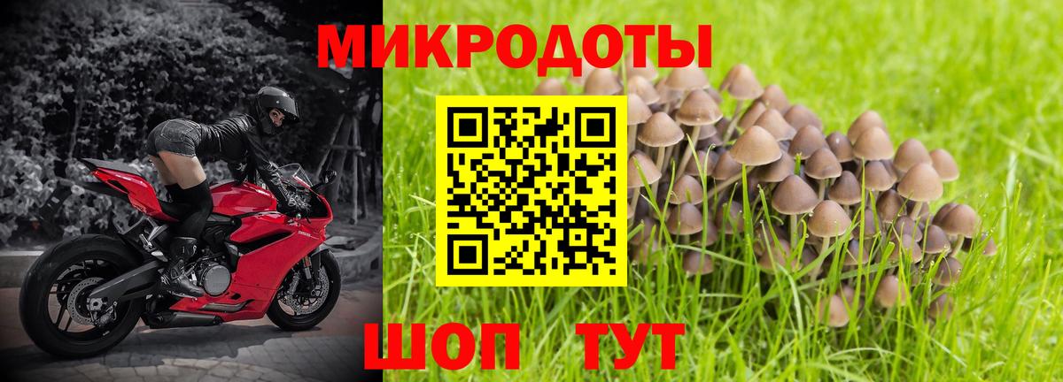 Галлюциногенные грибы Cubensis Будённовск