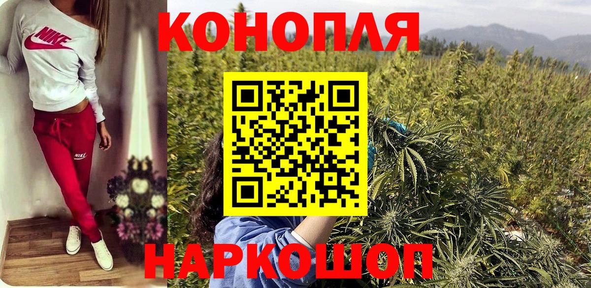 Марихуана планчик Будённовск